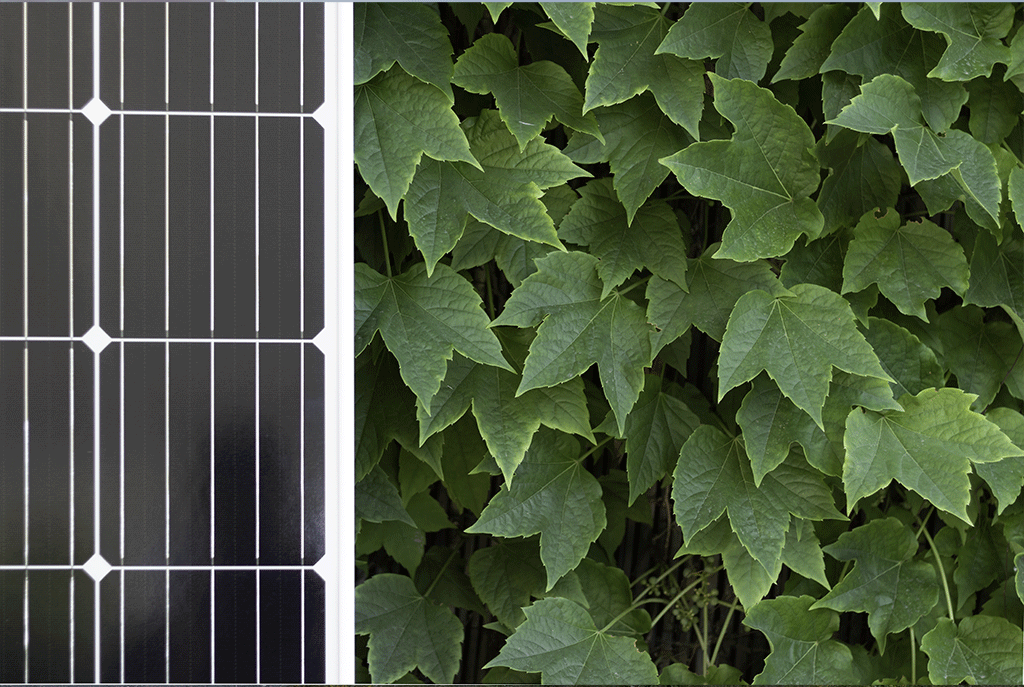 Nachhaltigkeit der Kronsberger Höfe